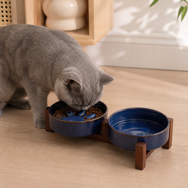 Ciotola per Animali Domestici  - Royal Canin Food Medium recensione e prezzo